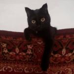 Светлана Хузеева