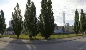 Фотография Гала 4